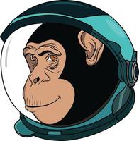 de chimpansee ruimte vector