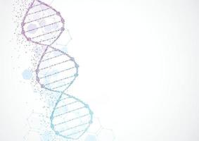 wetenschapssjabloon, behang of banner met een DNA-moleculen. vector