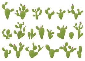tekenfilm woestijn cactus planten geïsoleerd Aan wit. woestijn planten vector illustratie