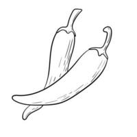 vector geïsoleerd tekening illustratie van heet Chili peper.