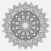 circulaire patroon in het formulier van mandala voor henna, mehndi, tatoeëren, decoratie. decoratief ornament in etnisch oosters stijl vector