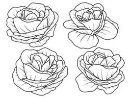 hand- tekening bloem lijn kunst vector