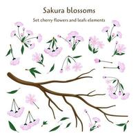 reeks kers bloemen en doorbladert elementen. sakura bloesems Afdeling. realistisch vlak vector illustratie