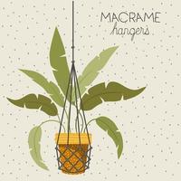 kamerplant in een macramé hanger vector