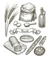 ingrediënten en brood set. hand- getrokken vector illustratie. geïsoleerd Aan wit achtergrond. wijnoogst stijl.