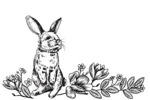 wijnoogst samenstelling met Pasen konijn en voorjaar bloemen. grens vector