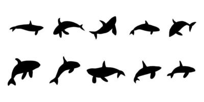 orka walvissen. zee dier moordenaar walvissen. marinier dier in Scandinavisch stijl. vector