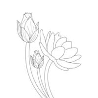 water lelie bloem kleur bladzijde en boek lotus hand- getrokken lijn kunst vector