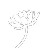 water lelie bloem kleur bladzijde en boek lotus hand- getrokken lijn kunst vector