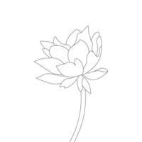 water lelie bloem kleur bladzijde en boek lotus hand- getrokken lijn kunst vector