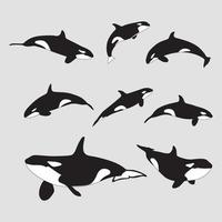 moordenaar walvis hand- getrokken verzameling vector