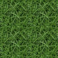 naadloos groen gras detailopname vector achtergrond structuur groen gras