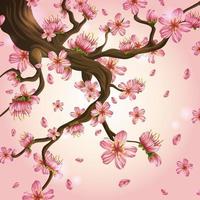 mooie kersenbloesem op roze achtergrond vector