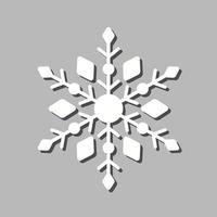 50 - sneeuw flake.eps vector