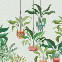 kamerplanten in macrame hangers tuinscène vector