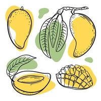 mango Afdeling heerlijk fruit schetsen vector illustratie reeks