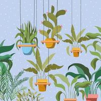 kamerplanten in macrame hangers tuinscène vector