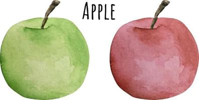 waterverf illustratie van rood en groen appel. vers rauw fruit. appel minnaar illustratie vector