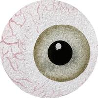 waterverf menselijk bruin oog. waterverf anatomie verzameling. medisch illustratie vector
