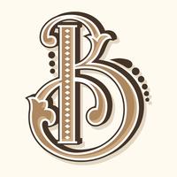 Letter B Typografie vector