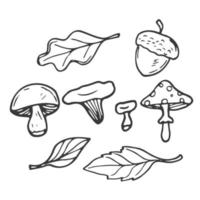 tekening bladeren en champignons set. Woud en bos- concept vector