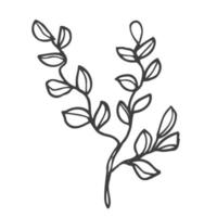 bloemen tekening ontwerp elementen. hand- getrokken decoratief bladeren en kransen. bloem ornament verdelers. boom takken met blad en bloemen. vector