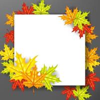 herfst blad achtergrond met papier teken, vector illustratie