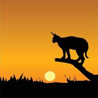 wild kat Aan boom schors en avond silhouet vector