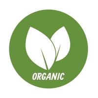 eco blad logo biologische label vector ontwerp geïsoleerd op een witte achtergrond