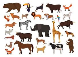 schattige dieren set vector