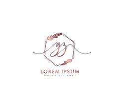 eerste brief yz vrouwelijk logo schoonheid monogram en elegant logo ontwerp, handschrift logo van eerste handtekening, bruiloft, mode, bloemen en botanisch met creatief sjabloon vector