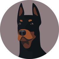 tekenfilm dobermann portret in vlak vector stijl geïsoleerd Aan wit achtergrond. huiselijk dier. huisdier avatar