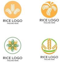 rijstveld fabriek embleem, rijst graan logo,rijst,natuurlijk biologisch landbouw, voor zaken,bedrijf,landbouw,product,boerderij winkel, landbouw uitrusting, rijst magazijn, met modern minimalistische vector