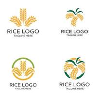 rijstveld fabriek embleem, rijst graan logo,rijst,natuurlijk biologisch landbouw, voor zaken,bedrijf,landbouw,product,boerderij winkel, landbouw uitrusting, rijst magazijn, met modern minimalistische vector