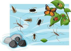 bovenaanzicht van waterinsecten in de vijver vector