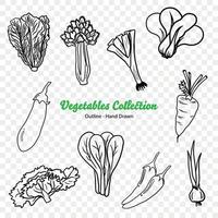 groenten vector illustratie, landbouw plant, salade ingrediënt, groente boerderij, veganistisch voedsel, biologisch voedsel