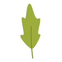 vector clip art met groen blad in vlak ontwerp. blad van fabriek in groen kleur. gebladerte. voorjaar botanisch illustratie.