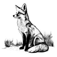zittend vos, wijnoogst lijn tekening of gravure illustratie. vector