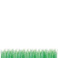 vector groen gras illustratie