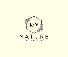 eerste kv brieven botanisch vrouwelijk logo sjabloon bloemen, bewerkbare premade monoline logo geschikt, luxe vrouwelijk bruiloft branding, zakelijk. vector