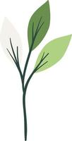 groen botanisch bladeren illustratie vector