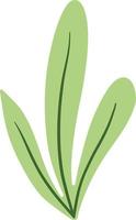 groen botanisch bladeren illustratie vector