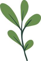 groen botanisch bladeren illustratie vector