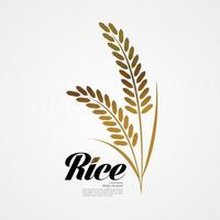 premie rijst- Super goed kwaliteit ontwerp concept vector. vector
