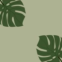 groen monstera blad achtergrond, sjabloon of behang. vector