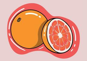 hand- getrokken vers grapefruit en plakjes geïsoleerd achtergrond. tekenfilm stijl pompelmoes. vector