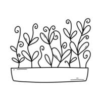 hand- getrokken microgreens in potten. vector illustratie in tekening stijl geïsoleerd Aan wit achtergrond. micro groente. bieten, sla, kool, zuring, ui, radijs, rucola, erwten. groeit superfood Bij huis.