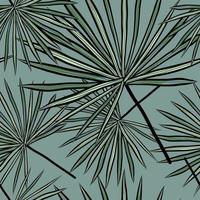 tropisch palm bladeren vector naadloos patroon. oerwoud gebladerte illustratie. zomer achtergrond.