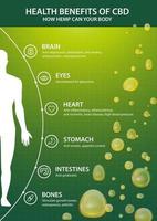 groene verticale poster met inphographic van CBD-voordelen voor uw lichaam en silhouet van het menselijk lichaam. gezondheidsvoordelen van cannabidiol cbd uit cannabis, hennep, marihuana, effect op het lichaam vector