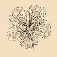 hibiscus bloem vector illustratie met lijn kunst